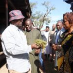 FG Moves To Develop Abuja Grazing Reserves, Advance Livestock Reforms