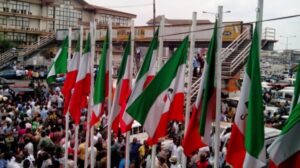 PDP presidential candidate will emerge at national convention- Northern stakeholders
