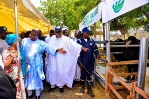 Livestock Partnerships’ll Deliver Visible Results Soon -FG