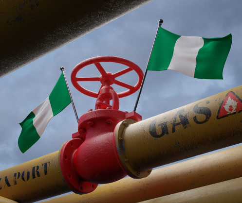 Establishing a Highly Competitive Domestic Hydrocarbons Market in Nigeria