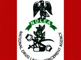 NDLEA Boss Harps On Principle of Proportionality In Deployments