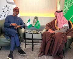 Gold, Lithium Position Nigeria As Africa’s Minerals Supply Hub, Says Alake